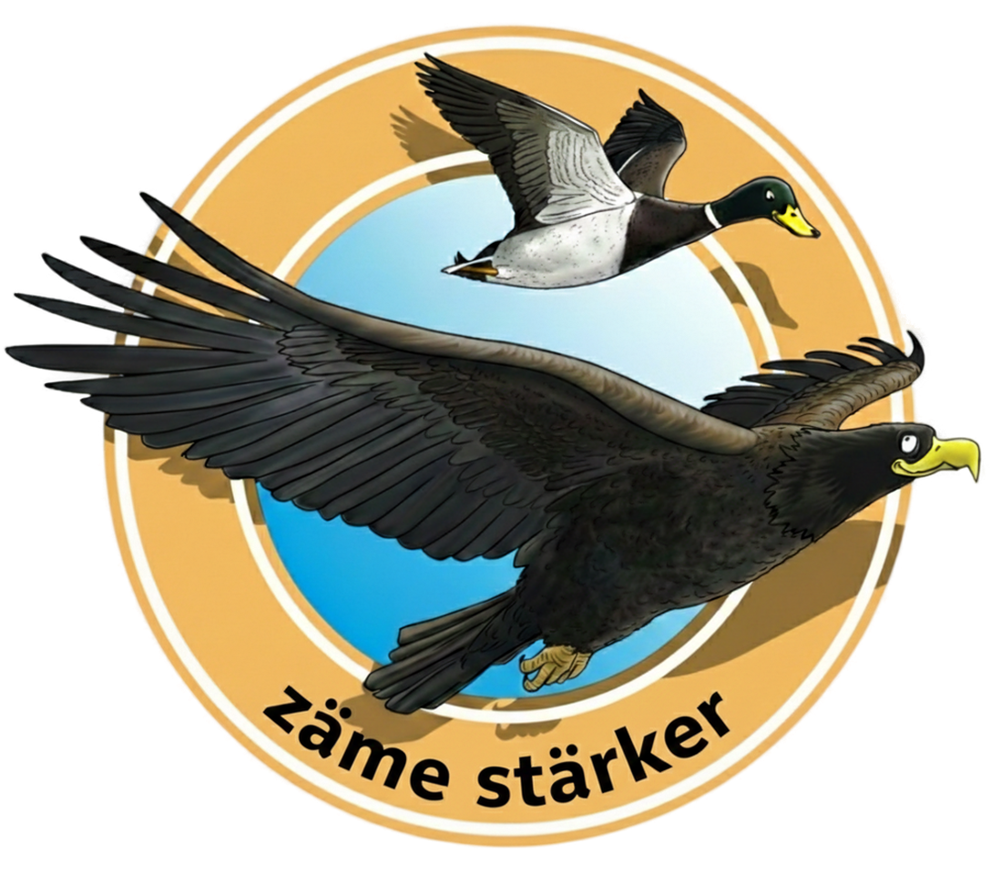 Zäme stärker